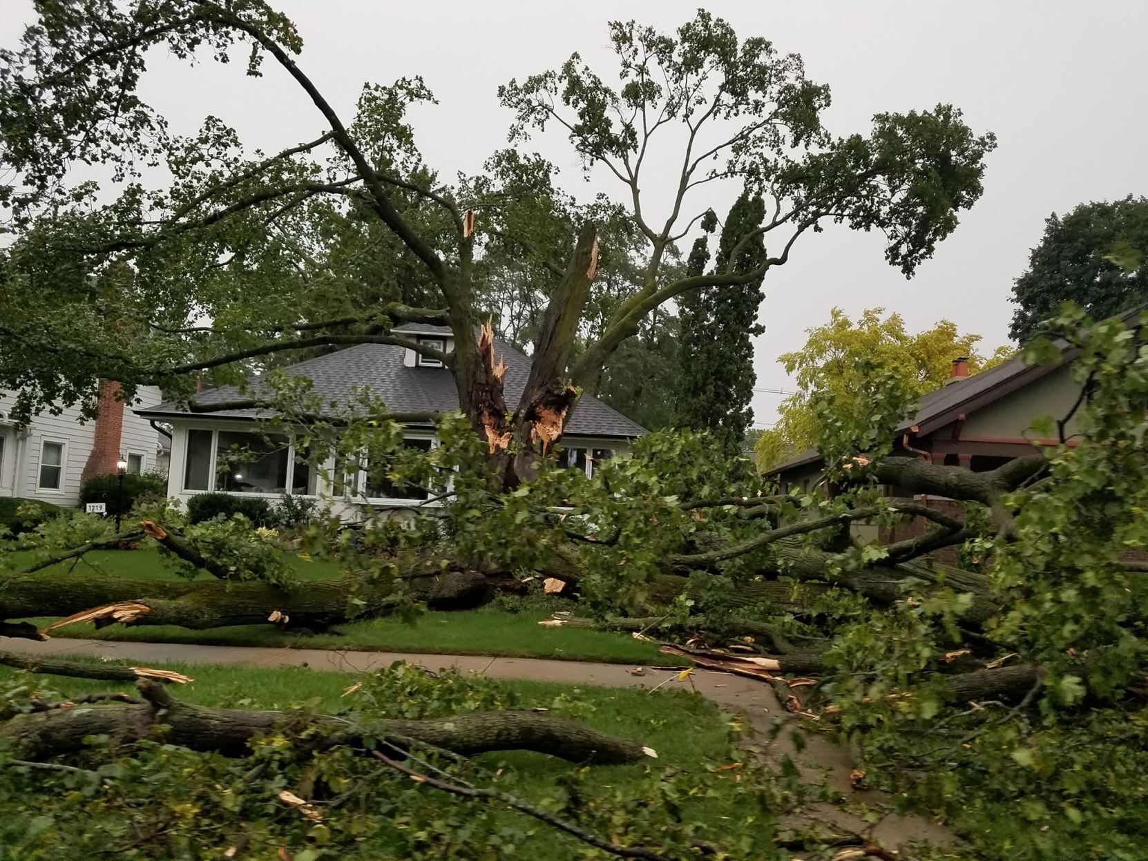 Storm damage in Lake Geneva